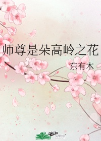 双性师尊高岭之花